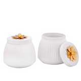 Metal Lining Decorative Jar Set of 2 - White Finish with Gold Knob - Perfect for Hotels, Restaurants, Cafes, and Home Decor