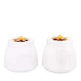 Metal Lining Decorative Jar Set of 2 - White Finish with Gold Knob - Perfect for Hotels, Restaurants, Cafes, and Home Decor