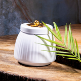 Metal Lining Decorative Jar Set of 2 - White Finish with Gold Knob - Perfect for Hotels, Restaurants, Cafes, and Home Decor