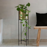 Modern Round Gold Plated Single Planter Stand