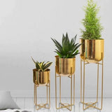 Metal Decorative Gold Plated Modern Planter Stand Set