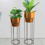 Modern Gold Plated Metal Planter Set For Indoor Gardening