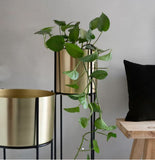 Modern Round Gold Plated Single Planter Stand